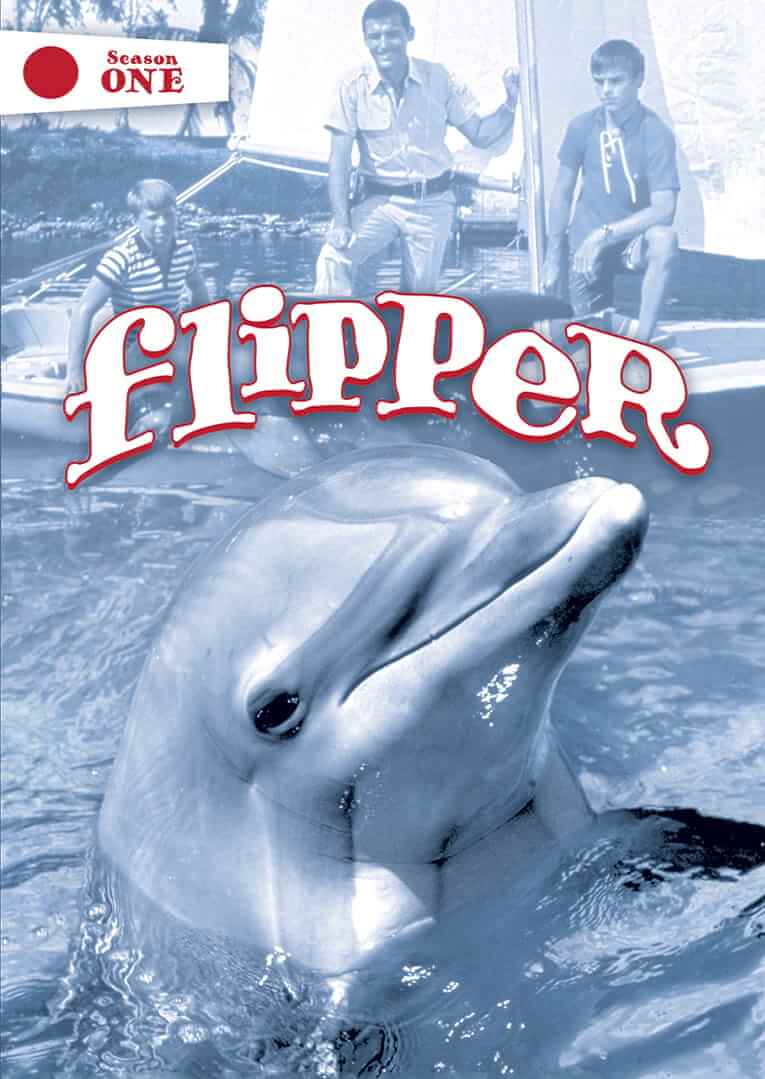 Flipper, del 1964, era una famosa serie su un delfino e due bambini