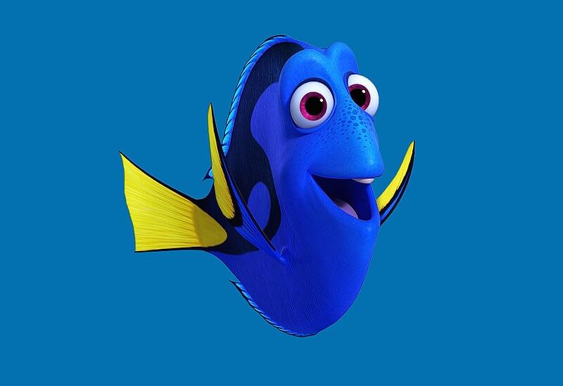 Dory è un pesce chirurgo blu